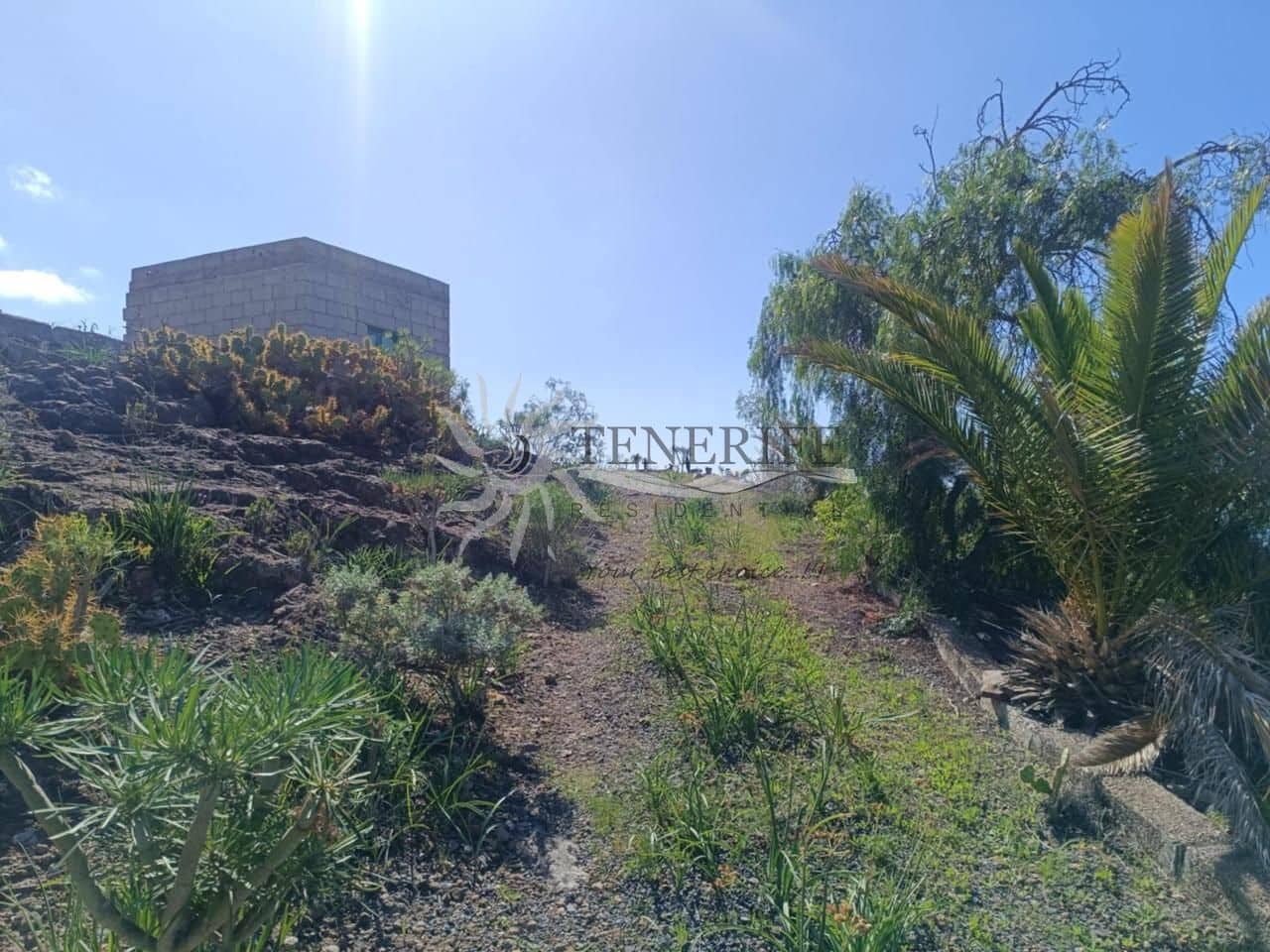 Undeveloped Land for sale in Piedra Hincada - € 265,000 (Ref: 9807214)