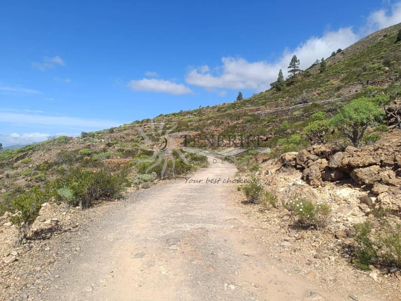 Grunde uden byggetilladelser til salg i Tejina de Guia de Isora - € 120.000 (Ref: 9807215)