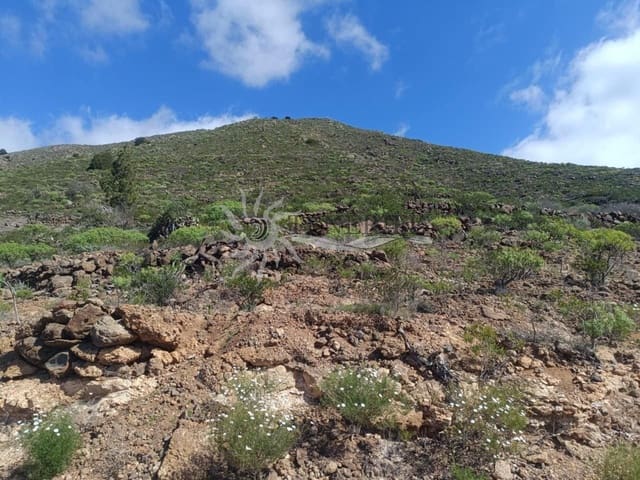 Grunde uden byggetilladelser til salg i Tejina de Guia de Isora, Guía de Isora - € 120.000 (Ref: 9807215)