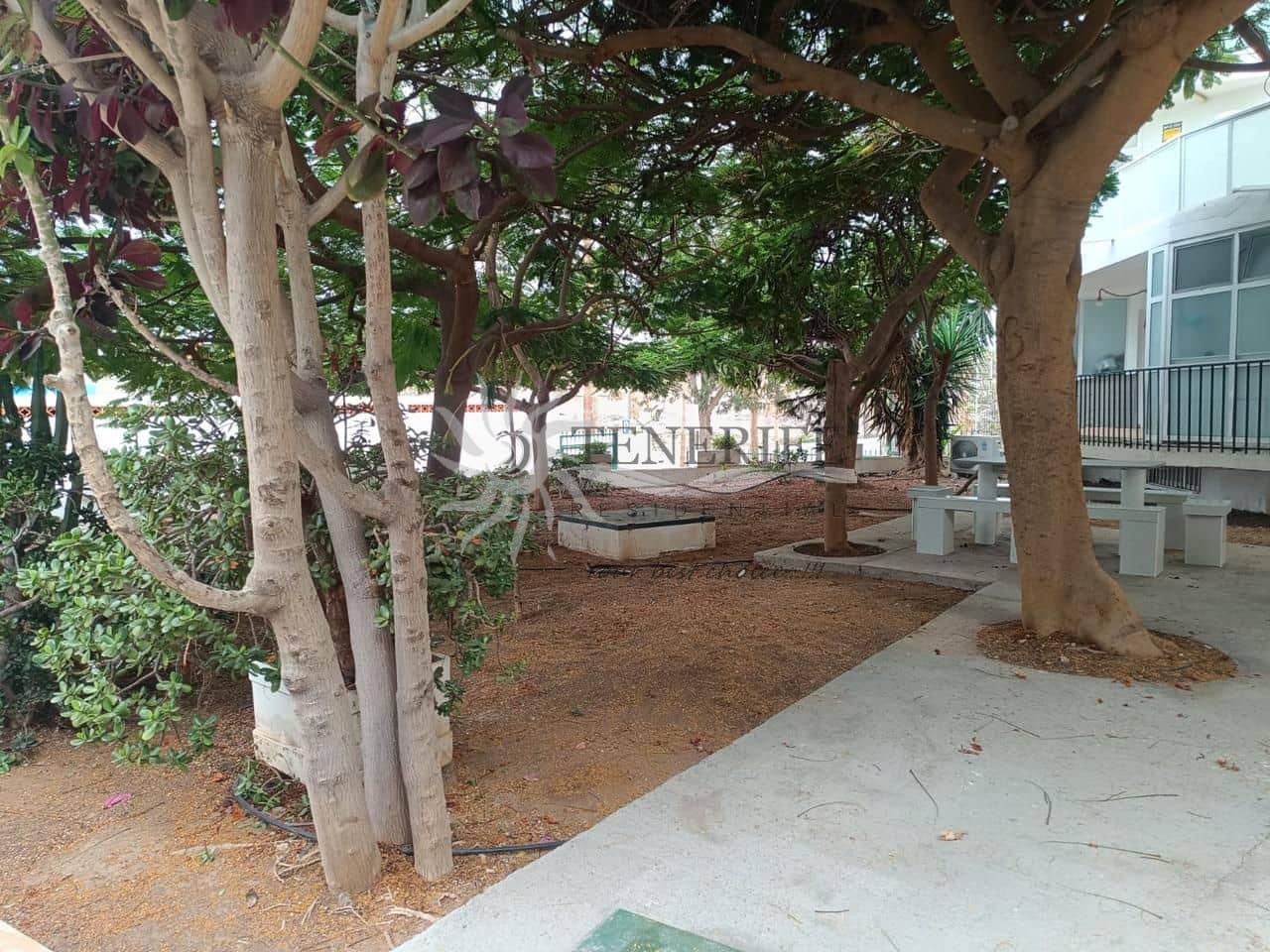 1 sovrum Lägenhet till salu i Costa Adeje - 269 000 € (Ref: 9807224)