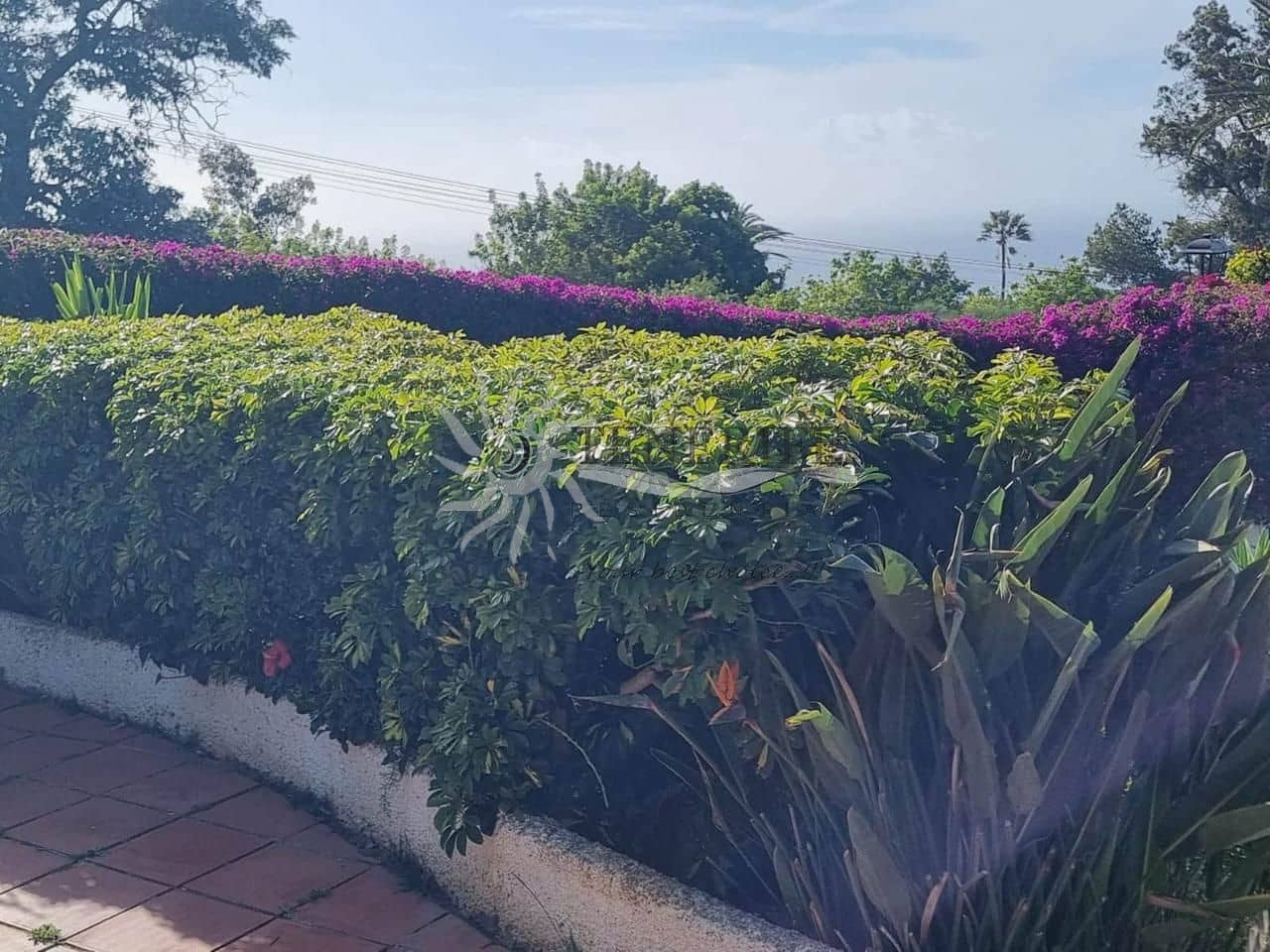2 quarto Moradia para venda em Tacoronte com piscina garagem - 395 000 € (Ref: 9815247)