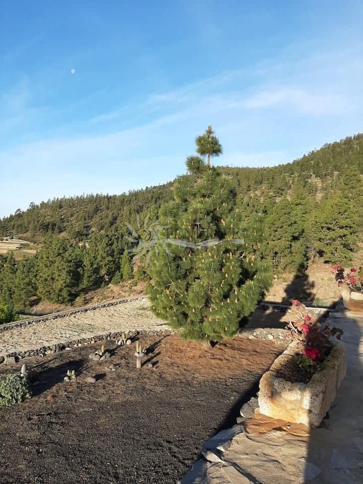 2 sovrum Finca/Hus på landet till salu i Granadilla de Abona med garage - 425 000 € (Ref: 9944735)