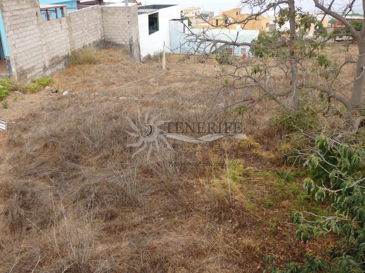 Undeveloped Land for sale in Arafo - € 132,000 (Ref: 9956086)