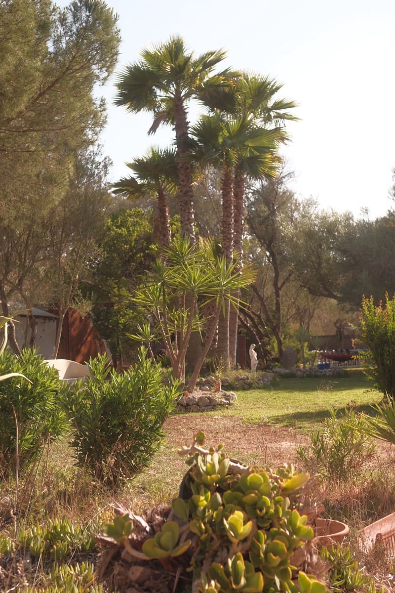 9 slaapkamer Finca/Landhuis te koop in Algaida met zwembad garage - € 999.999 (Ref: 9444961)