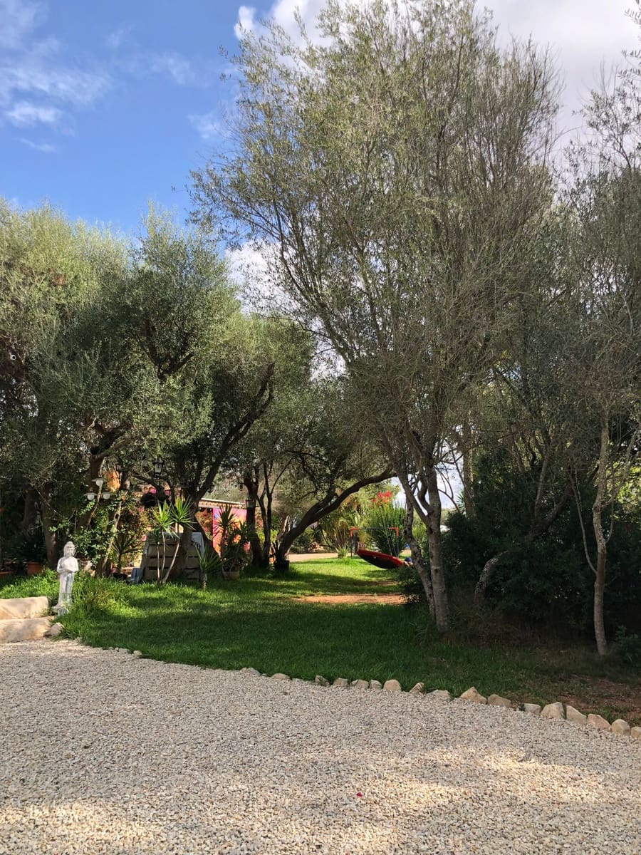 9 slaapkamer Finca/Landhuis te koop in Algaida met zwembad garage - € 999.999 (Ref: 9444961)