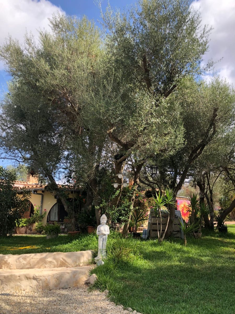 9 slaapkamer Finca/Landhuis te koop in Algaida met zwembad garage - € 999.999 (Ref: 9444961)