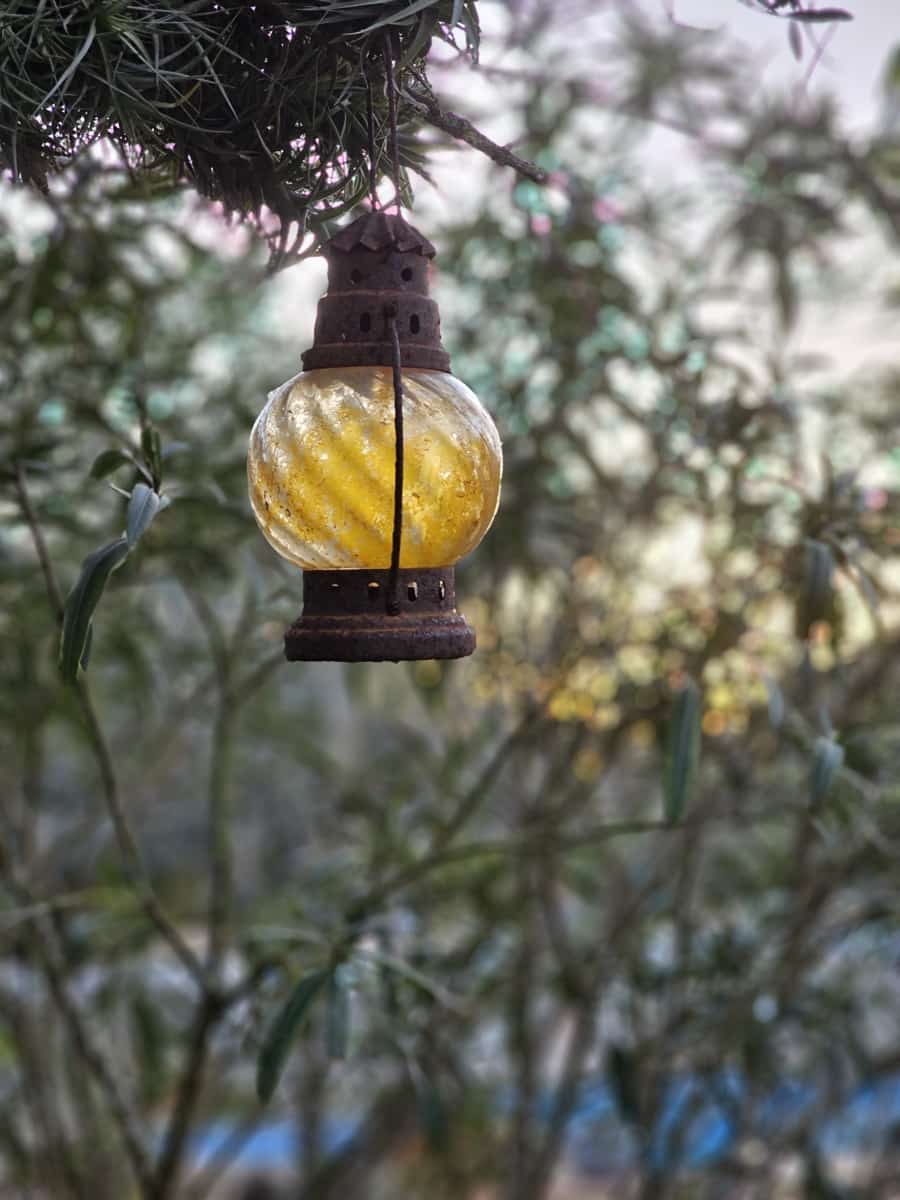 9 slaapkamer Finca/Landhuis te koop in Algaida met zwembad garage - € 999.999 (Ref: 9444961)