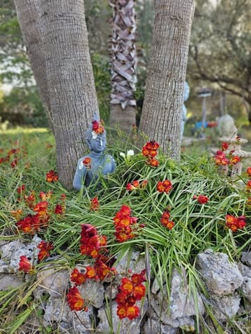 9 sovrum Finca/Hus på landet till salu i Algaida med pool garage - 999 999 € (Ref: 9444961)