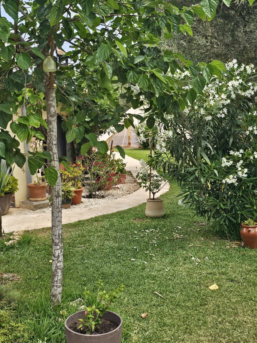 9 slaapkamer Finca/Landhuis te koop in Algaida met zwembad garage - € 999.999 (Ref: 9444961)