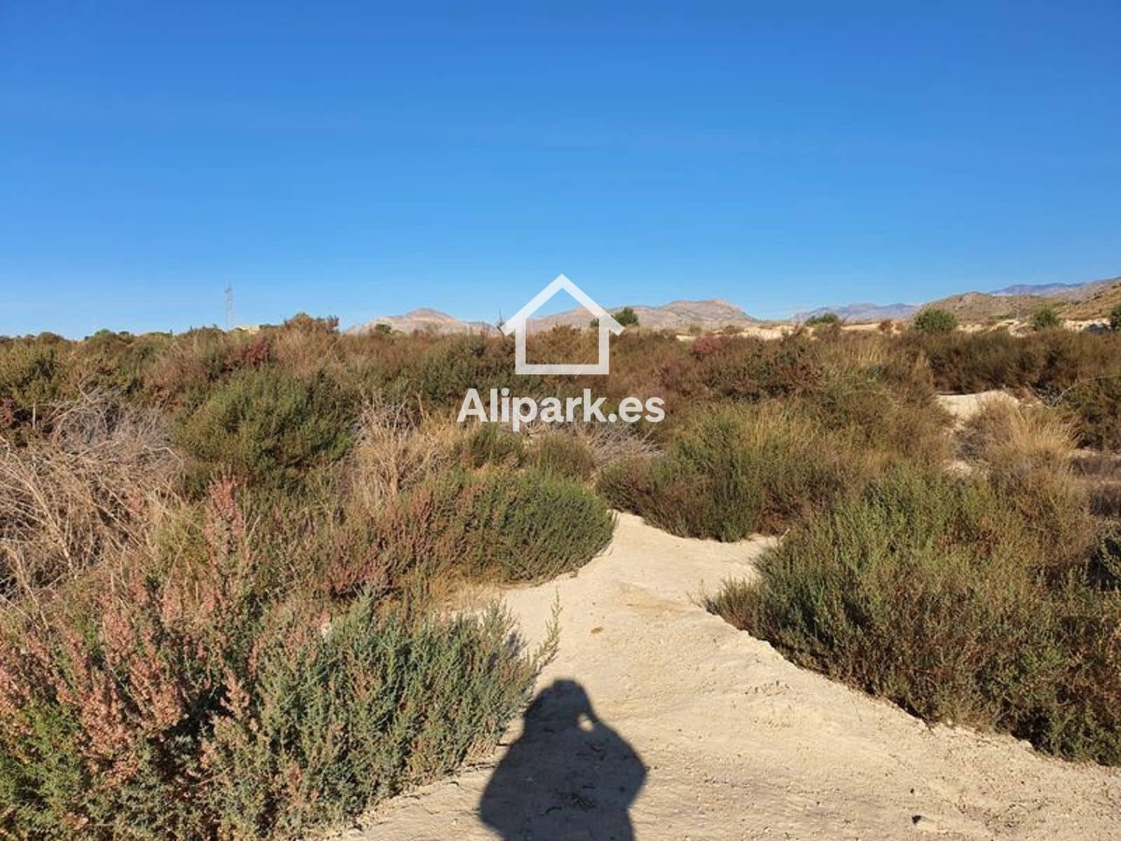 Undeveloped Land for sale in Alicante / Alacant city - € 128,100 (Ref: 9453321)