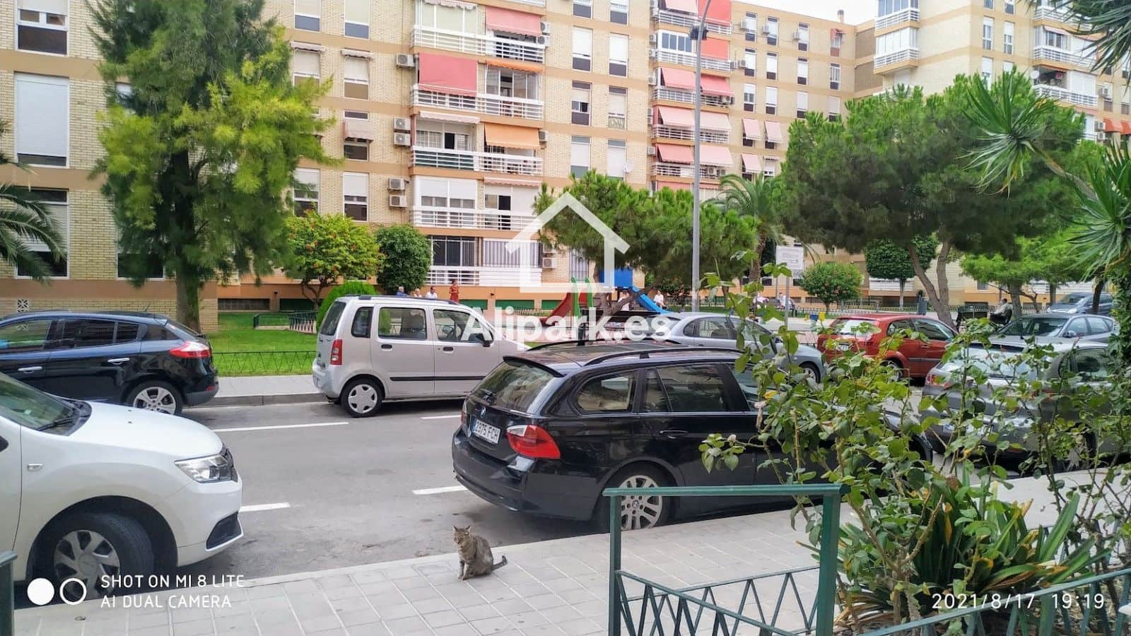 3 makuuhuone Asunto vuokrattavana paikassa Alicante kaupunki mukana uima-altaan - 1 050 € (Ref: 9453323)