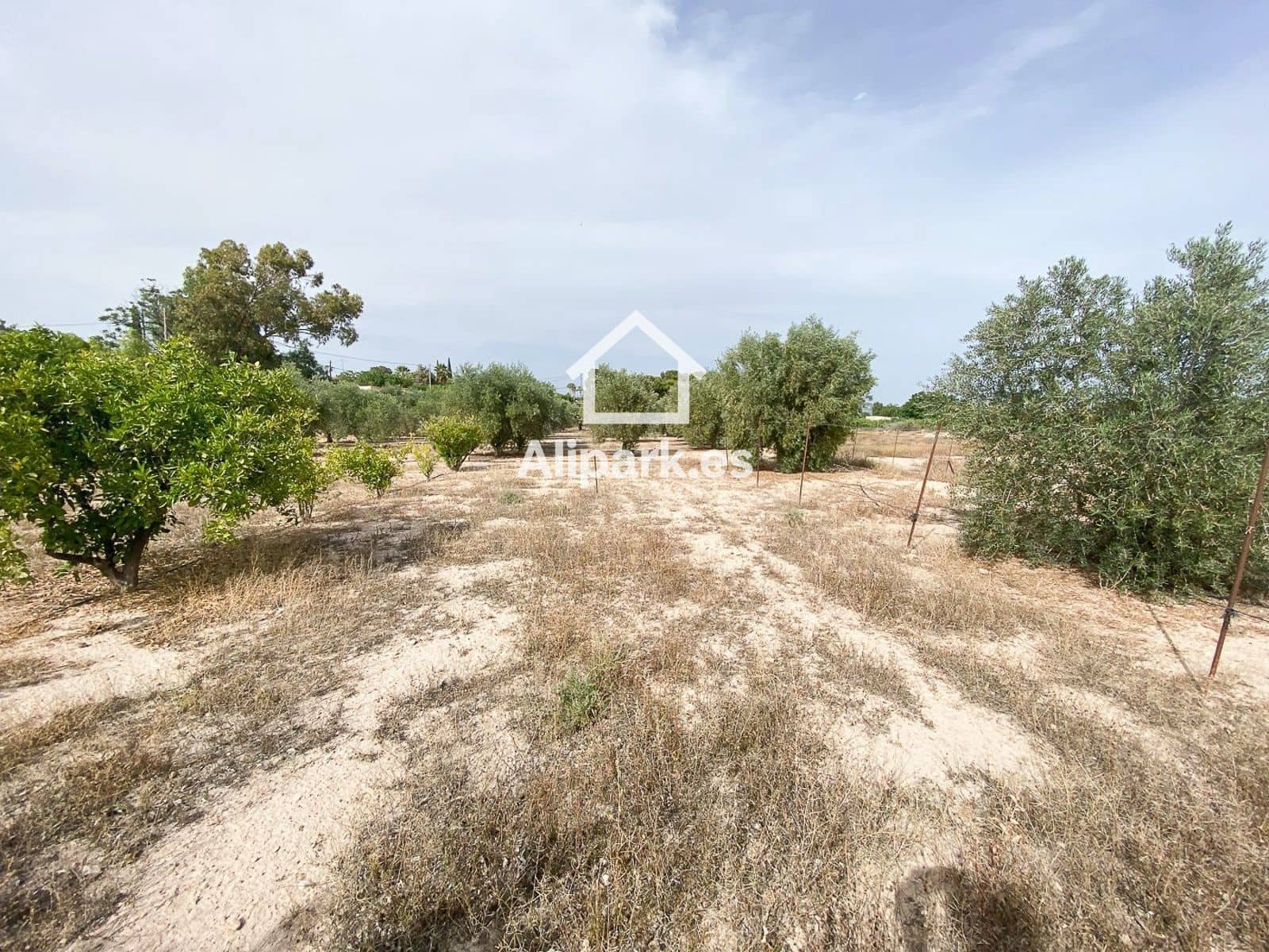 3 sypialnia Finka/Dom wiejski na sprzedaż w Novelda - 215 000 € (Ref: 9453359)