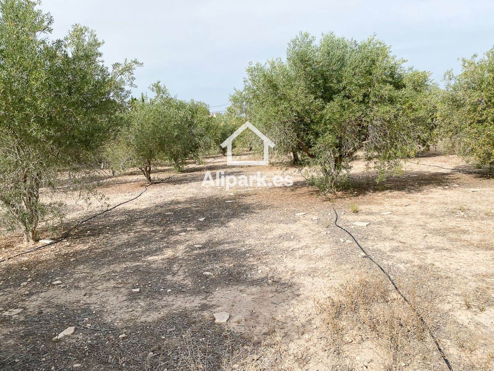 3 sypialnia Finka/Dom wiejski na sprzedaż w Novelda - 215 000 € (Ref: 9453359)