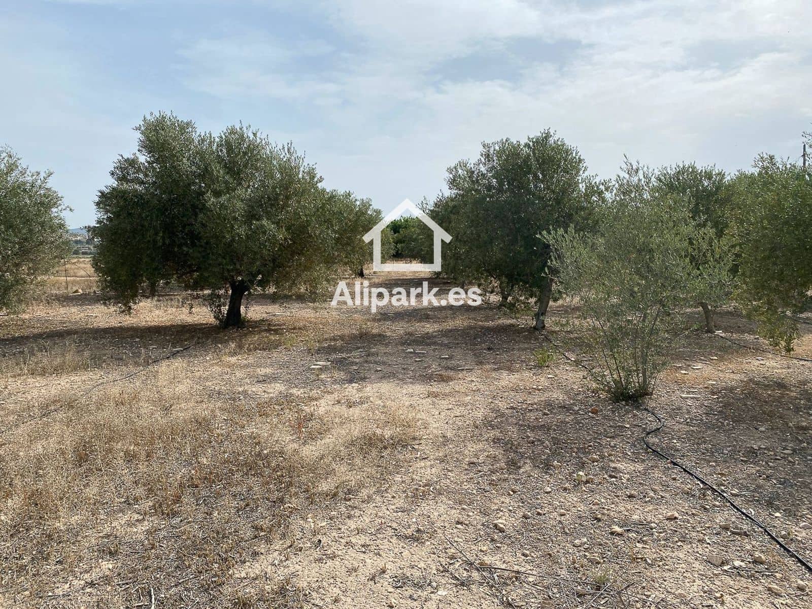 3 sypialnia Finka/Dom wiejski na sprzedaż w Novelda - 215 000 € (Ref: 9453359)