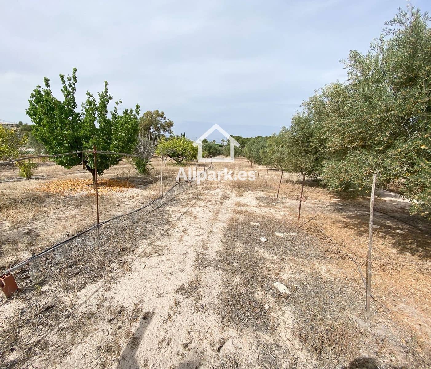 3 sypialnia Finka/Dom wiejski na sprzedaż w Novelda - 215 000 € (Ref: 9453359)