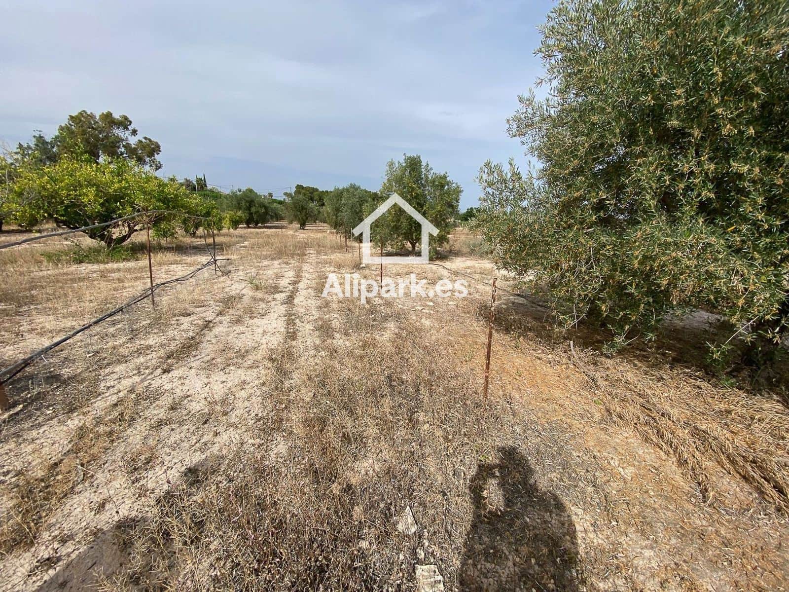 3 sypialnia Finka/Dom wiejski na sprzedaż w Novelda - 215 000 € (Ref: 9453359)