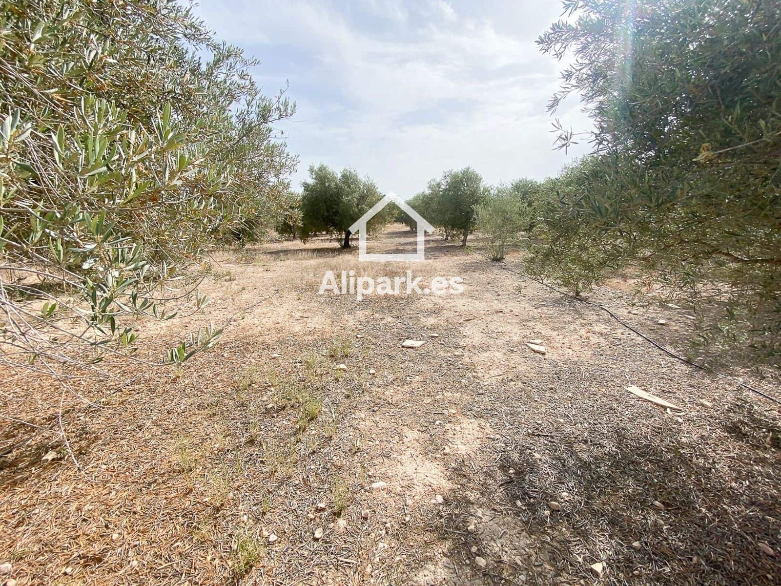 3 sypialnia Finka/Dom wiejski na sprzedaż w Novelda - 215 000 € (Ref: 9453359)