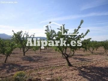 Finca/Country House for sale in Monovar / Monover - € 1,800,000 (Ref: 9453363)