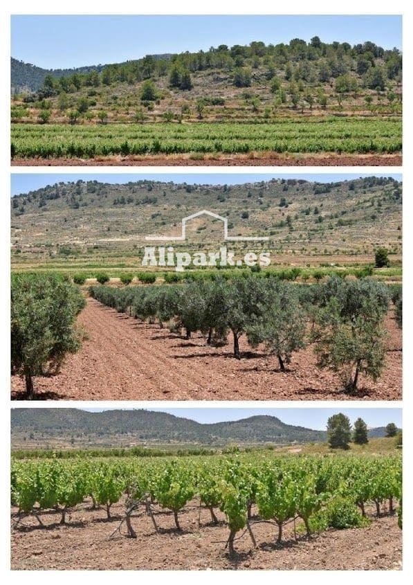 Finca/Country House for sale in Monovar / Monover - € 1,800,000 (Ref: 9453363)