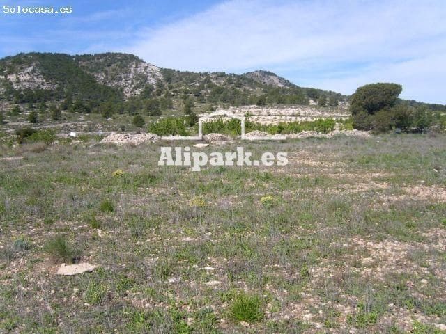 Finca/Country House for sale in Monovar / Monover - € 1,800,000 (Ref: 9453363)