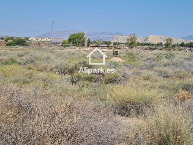 Undeveloped Land for sale in Cañada del Fenollar, Alicante / Alacant city - € 89,000 (Ref: 9453372)