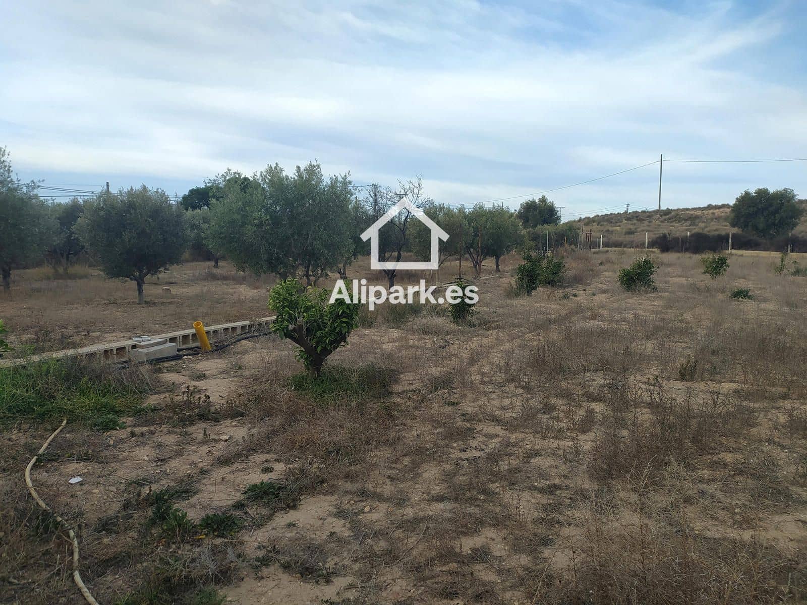 5 slaapkamer Finca/Landhuis te koop in Alicante stad met zwembad garage - € 285.000 (Ref: 9453396)