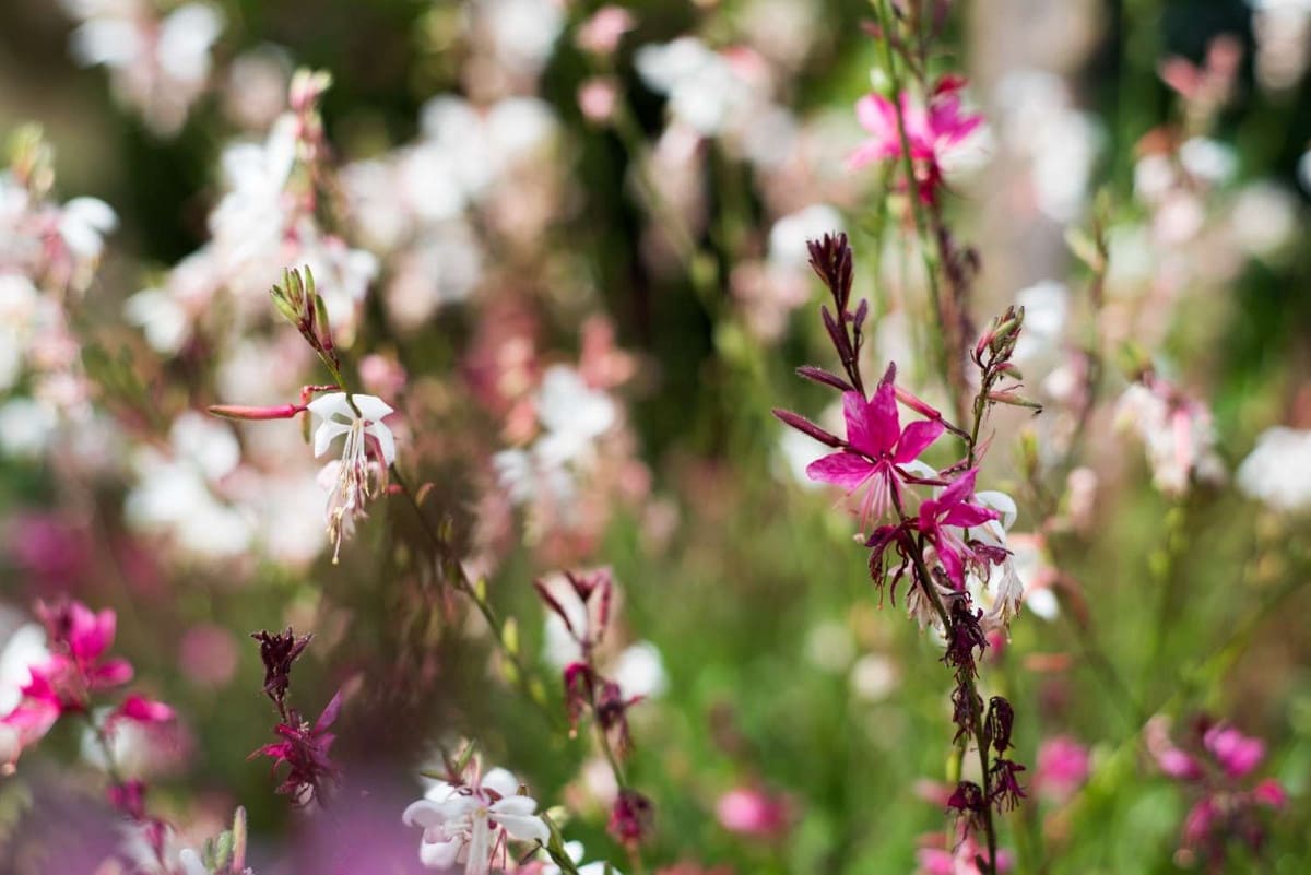 Apartamento de 3 habitaciones en Benalmádena en venta con garaje - 479.000 € (Ref: 9479730)