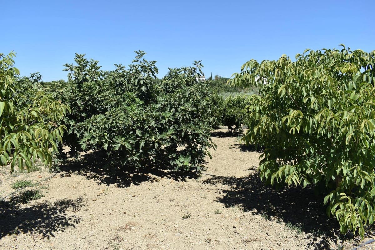 2 bedroom Finca/Country House for sale in Alhaurin el Grande with pool - € 490,000 (Ref: 9479761)