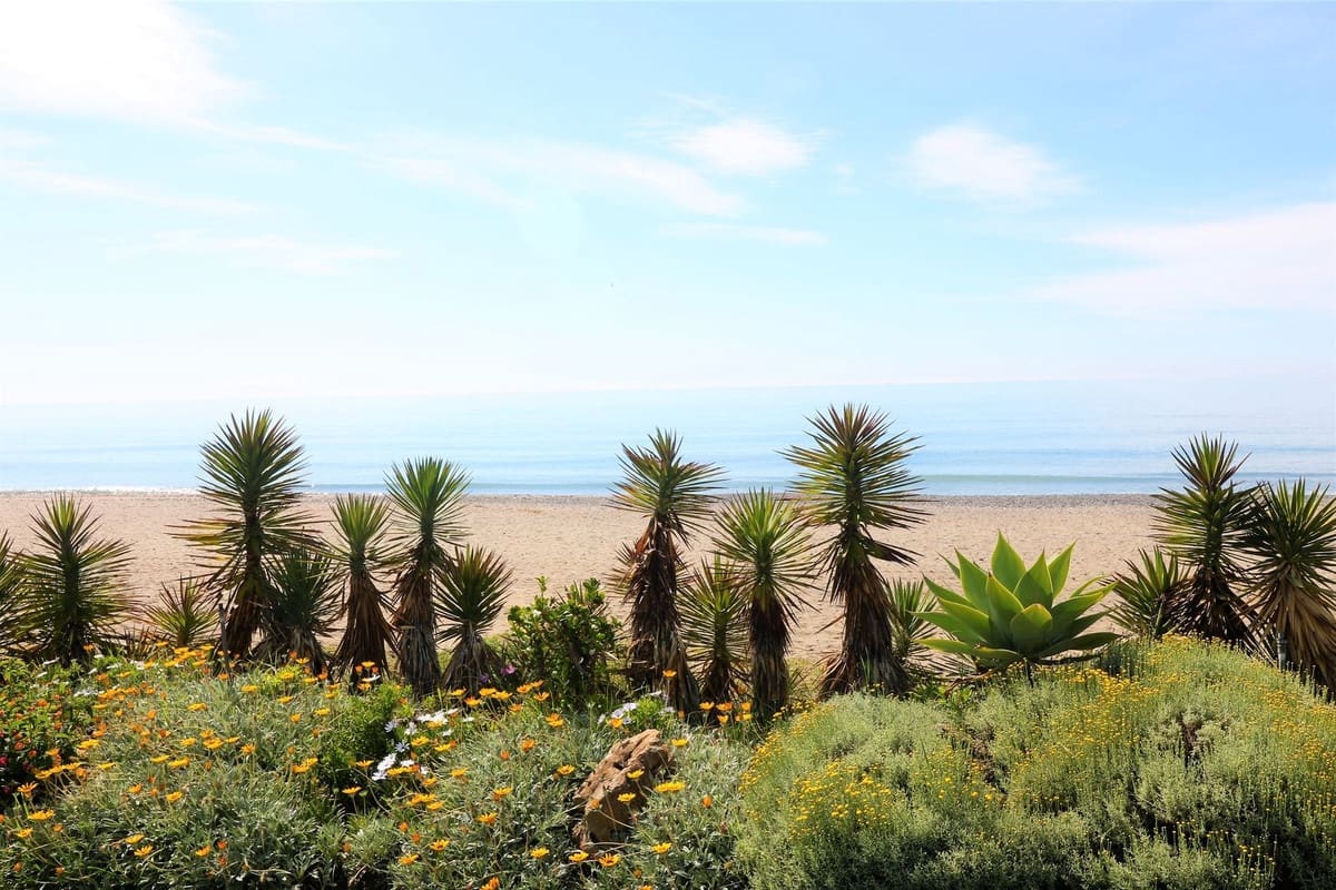 2 bedroom Apartment for sale in Cancelada with pool - € 499,000 (Ref: 9479791)