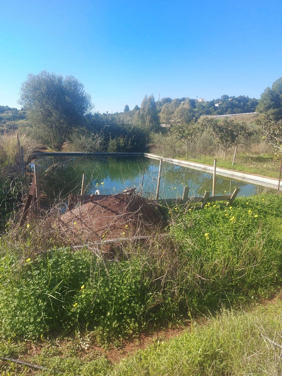 Finca/Casa Rural de 2 habitaciones en Estepona en venta - 531.000 € (Ref: 9479902)