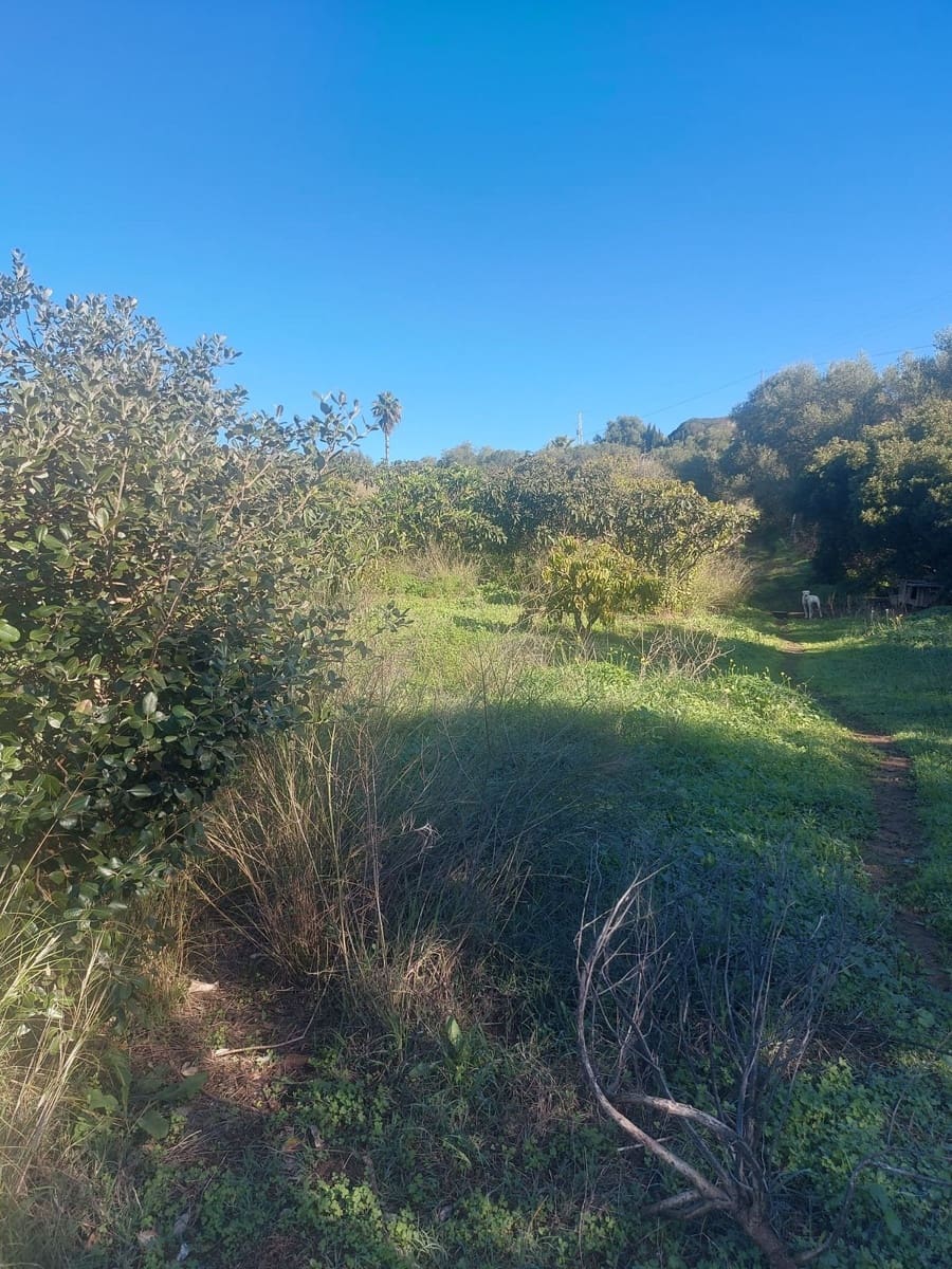 Finca/Casa Rural de 2 habitaciones en Estepona en venta - 531.000 € (Ref: 9479902)