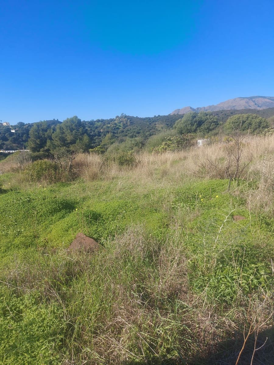 Finca/Casa Rural de 2 habitaciones en Estepona en venta - 531.000 € (Ref: 9479902)