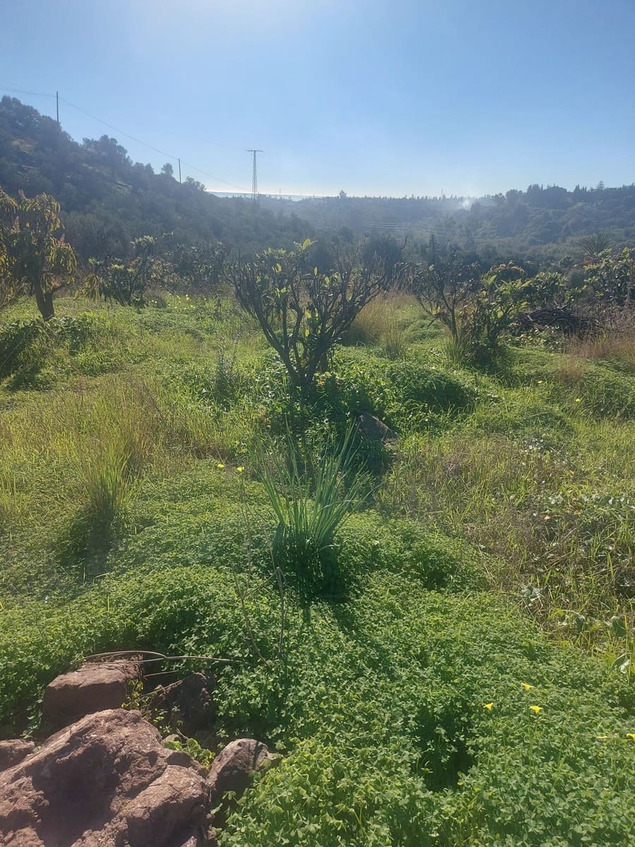 Finca/Casa Rural de 2 habitaciones en Estepona en venta - 531.000 € (Ref: 9479902)