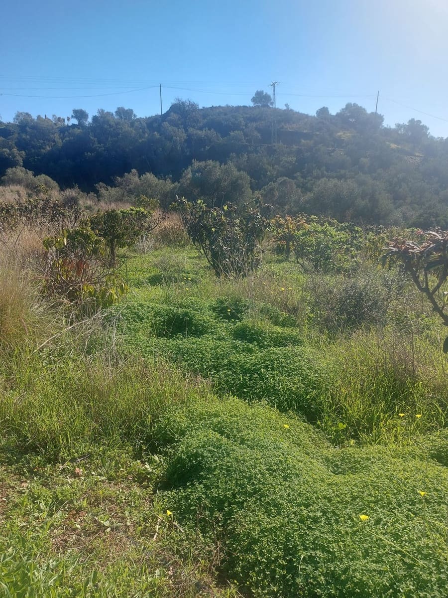 Finca/Casa Rural de 2 habitaciones en Estepona en venta - 531.000 € (Ref: 9479902)