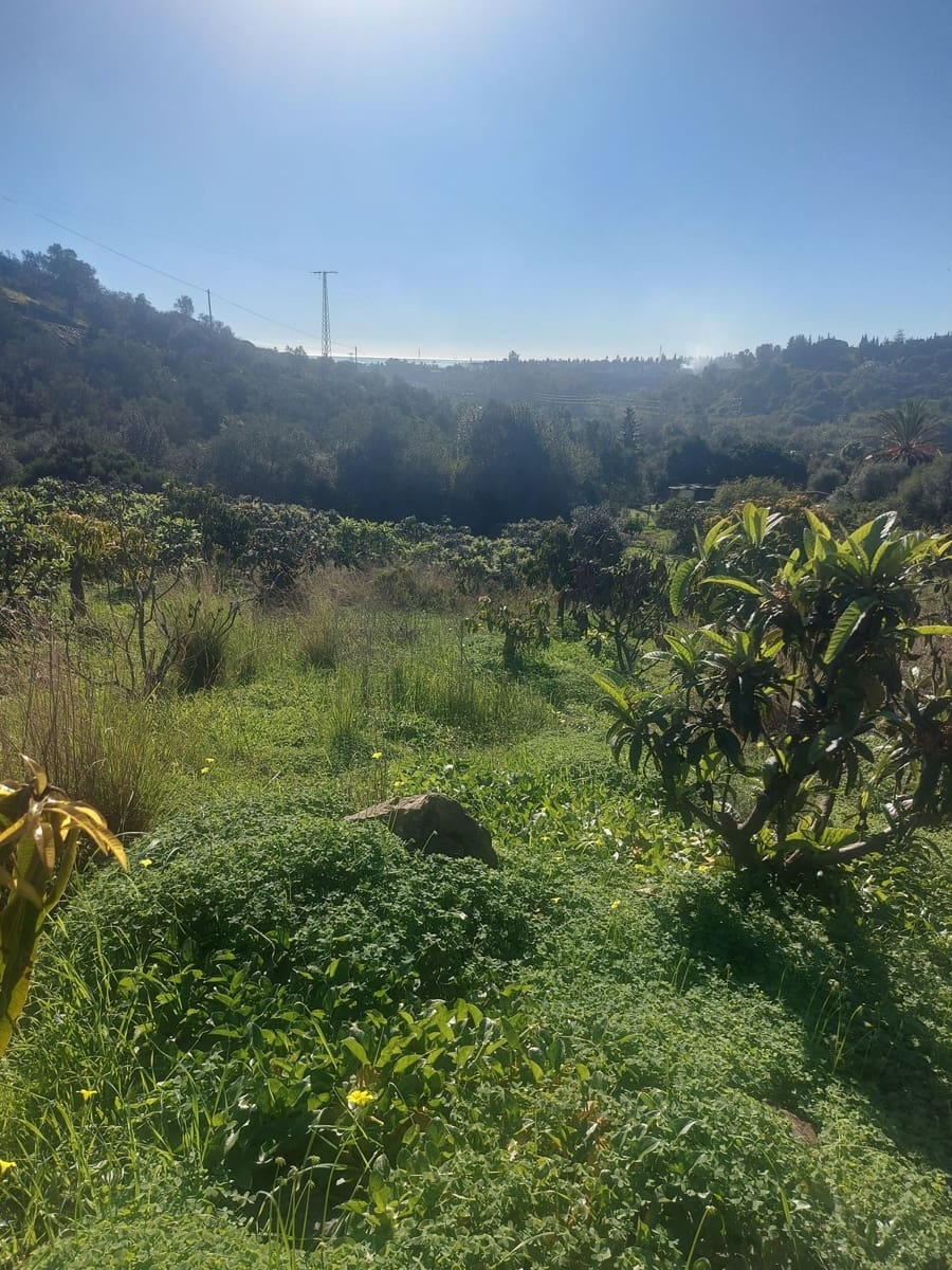 Finca/Casa Rural de 2 habitaciones en Estepona en venta - 531.000 € (Ref: 9479902)