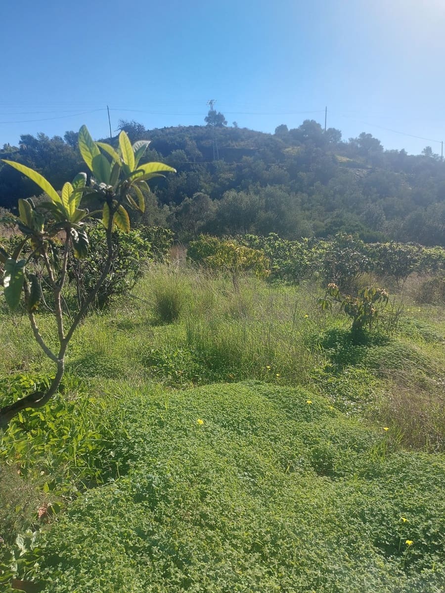 Finca/Casa Rural de 2 habitaciones en Estepona en venta - 531.000 € (Ref: 9479902)