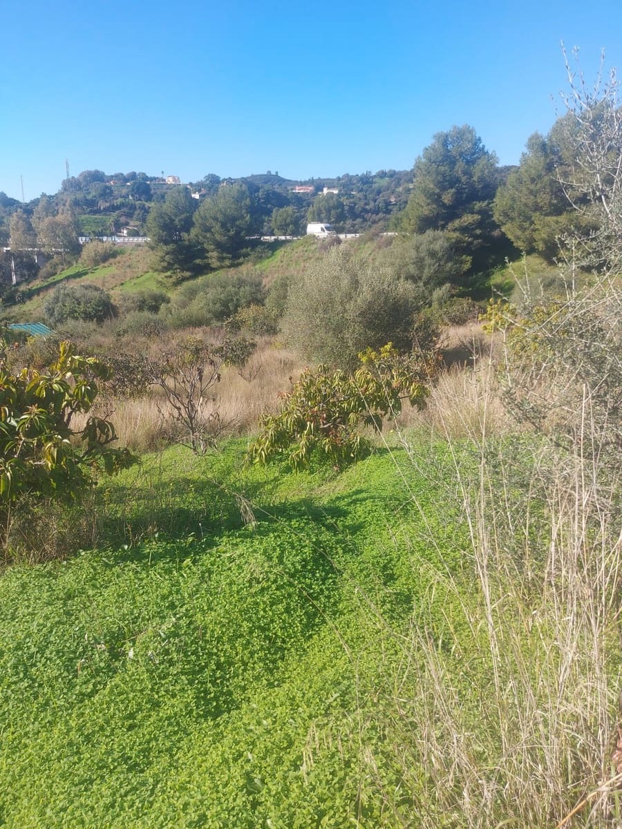 Finca/Casa Rural de 2 habitaciones en Estepona en venta - 531.000 € (Ref: 9479902)