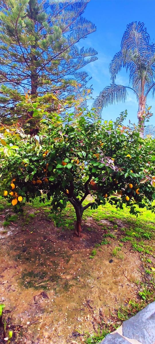 4 bedroom Villa for sale in Alhaurin el Grande with pool garage - € 695,000 (Ref: 9480183)