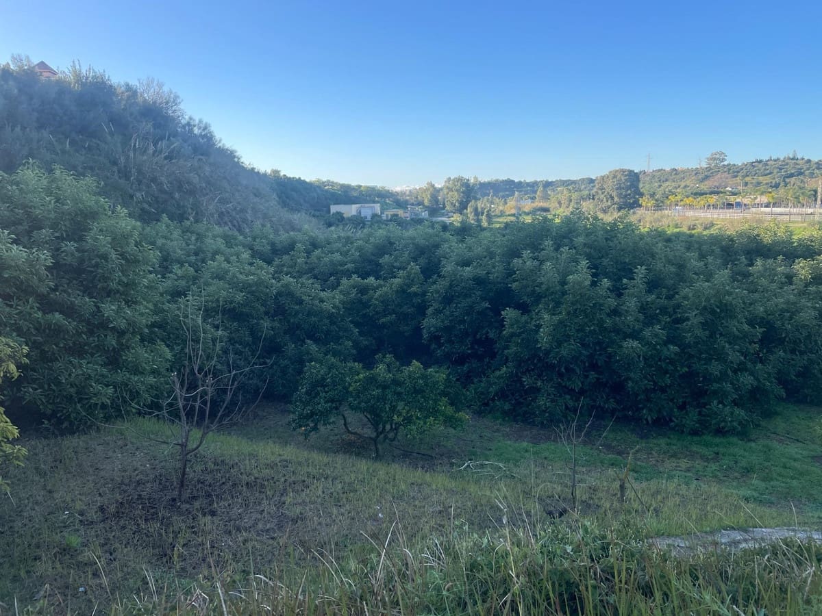 Finca/Casa Rural de 1 habitación en Estepona en venta - 793.000 € (Ref: 9480298)