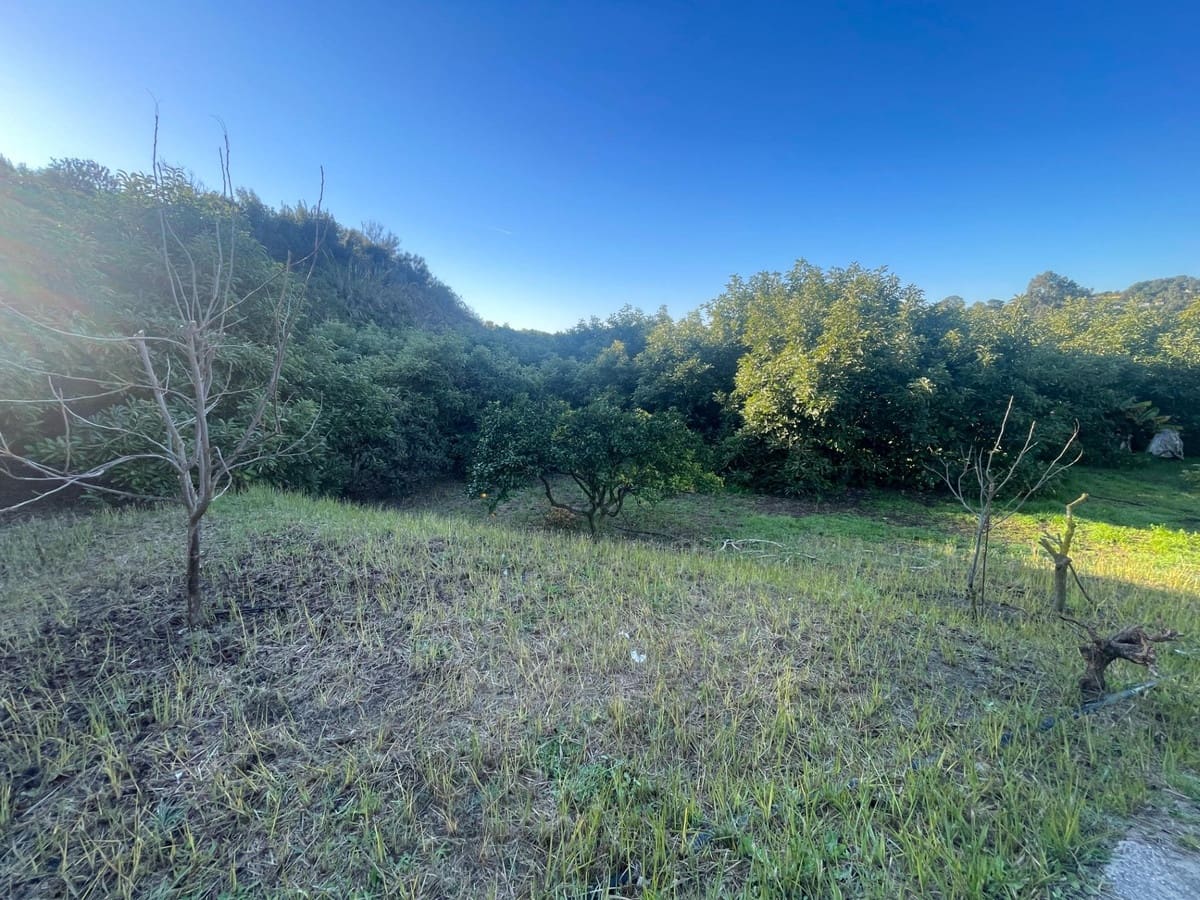 Finca/Casa Rural de 1 habitación en Estepona en venta - 793.000 € (Ref: 9480298)