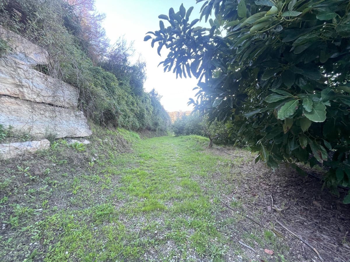 Finca/Casa Rural de 1 habitación en Estepona en venta - 793.000 € (Ref: 9480298)