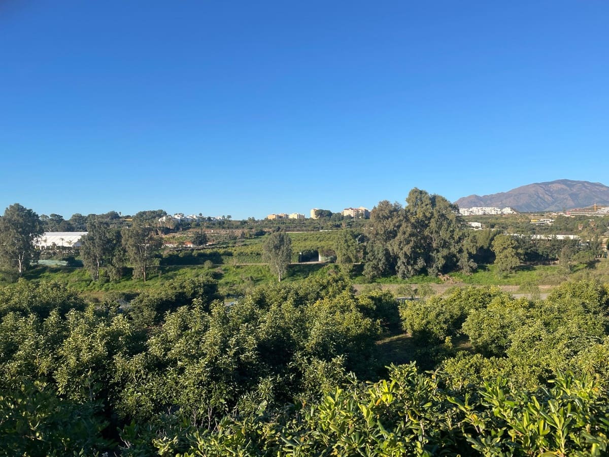 Finca/Casa Rural de 1 habitación en Estepona en venta - 793.000 € (Ref: 9480298)