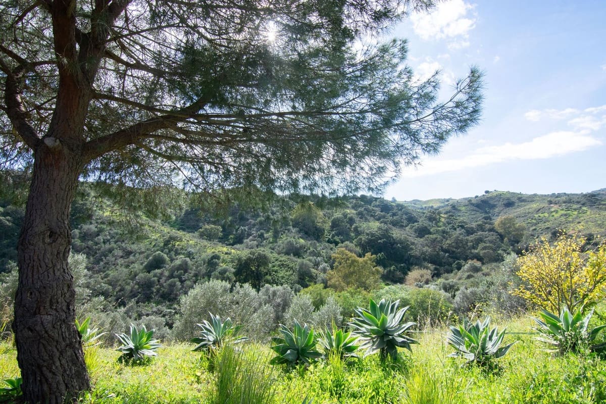 3 bedroom Finca/Country House for sale in La Cala Golf - € 795,000 (Ref: 9480308)