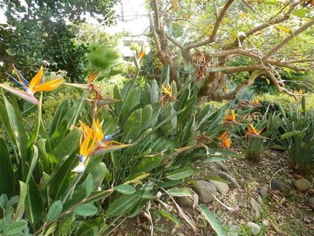 Ático de 4 habitaciones en Guadalmina en venta con piscina - 899.000 € (Ref: 9480424)