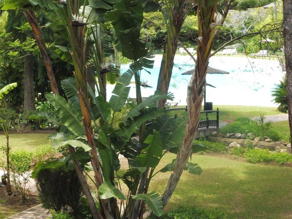 Ático de 4 habitaciones en Guadalmina en venta con piscina - 899.000 € (Ref: 9480424)