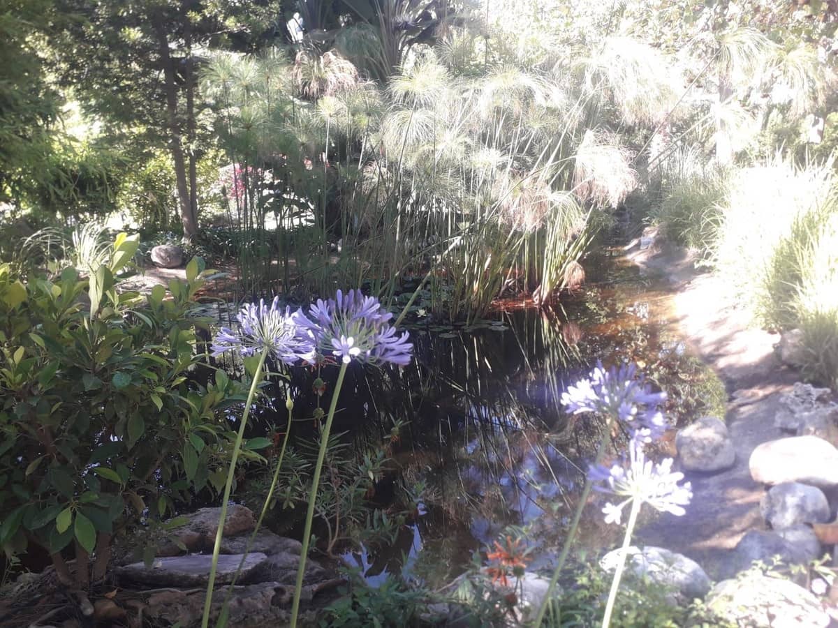 Ático de 4 habitaciones en Guadalmina en venta con piscina - 899.000 € (Ref: 9480424)