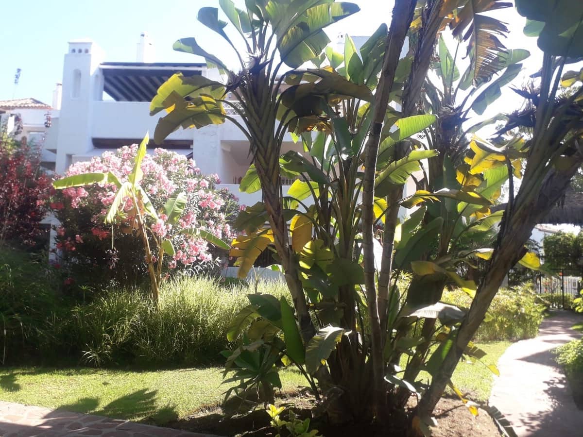 Ático de 4 habitaciones en Guadalmina en venta con piscina - 899.000 € (Ref: 9480424)