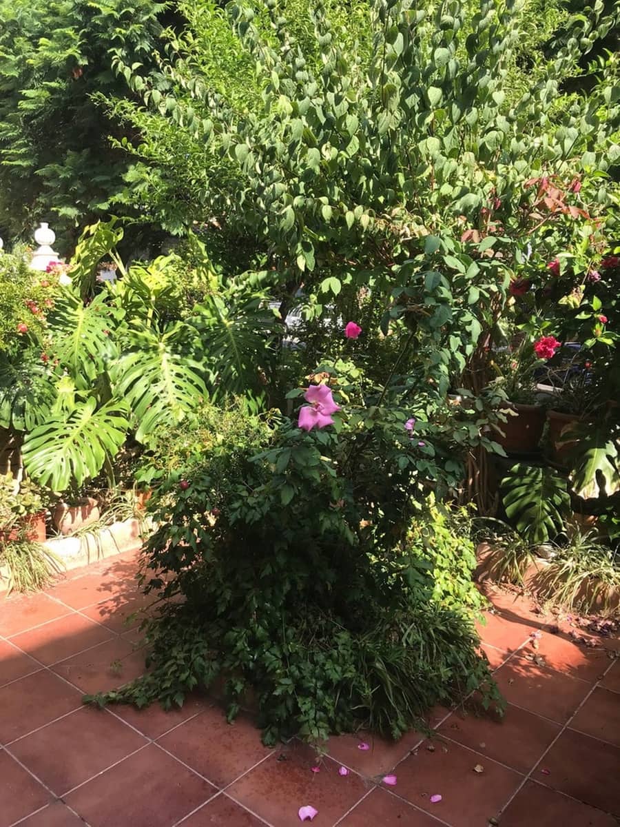 5 soveværelse Byhus til salg i Estepona - € 900.000 (Ref: 9480434)