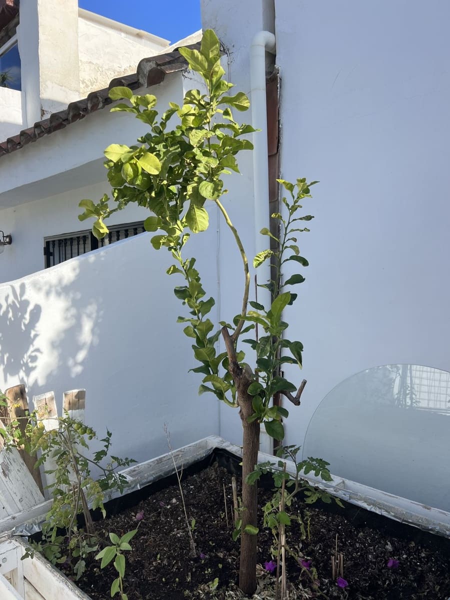 Casa de 5 habitaciones en Nueva Andalucia en venta con piscina - 980.000 € (Ref: 9480503)