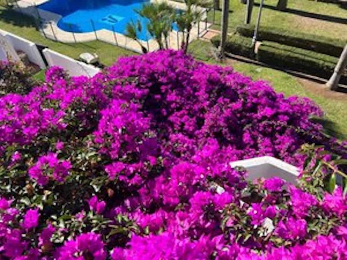 Casa de 5 habitaciones en Nueva Andalucia en venta con piscina - 980.000 € (Ref: 9480503)